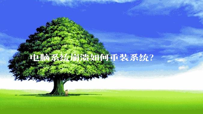 电脑系统崩溃如何重装系统？