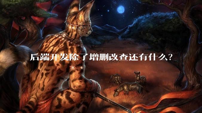 后端开发除了增删改查还有什么？