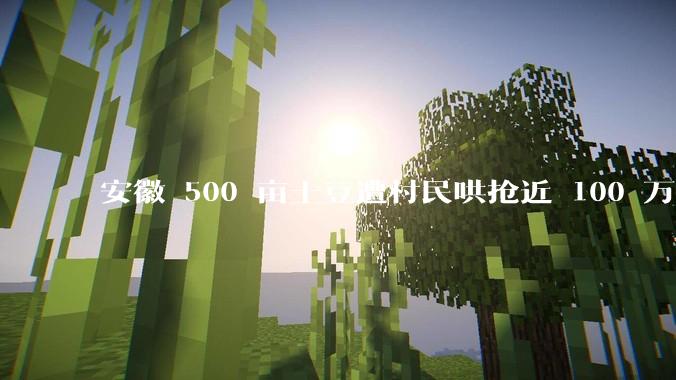 安徽 500 亩土豆遭村民哄抢近 100 万斤，警方已立案，涉事村民将承担哪些责任？种植户该如何维权？