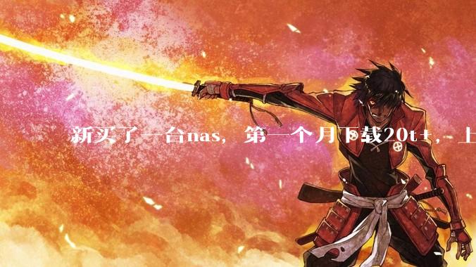 新买了一台nas，第一个月下载20t+，上传5+，不会被网警盯上吧?