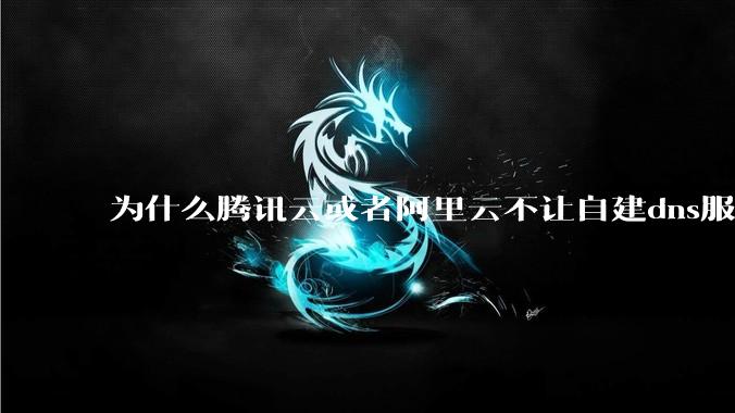 为什么腾讯云或者阿里云不让自建dns服务器?