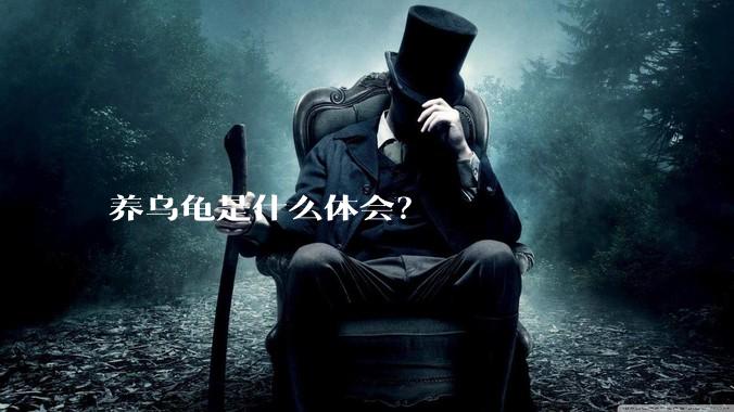 养乌龟是什么体会？
