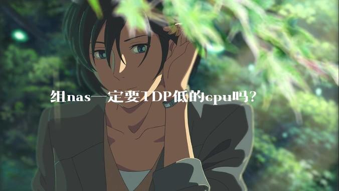 组nas一定要TDP低的cpu吗？